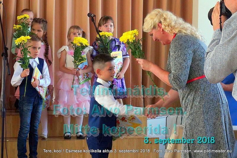 Tere (51)