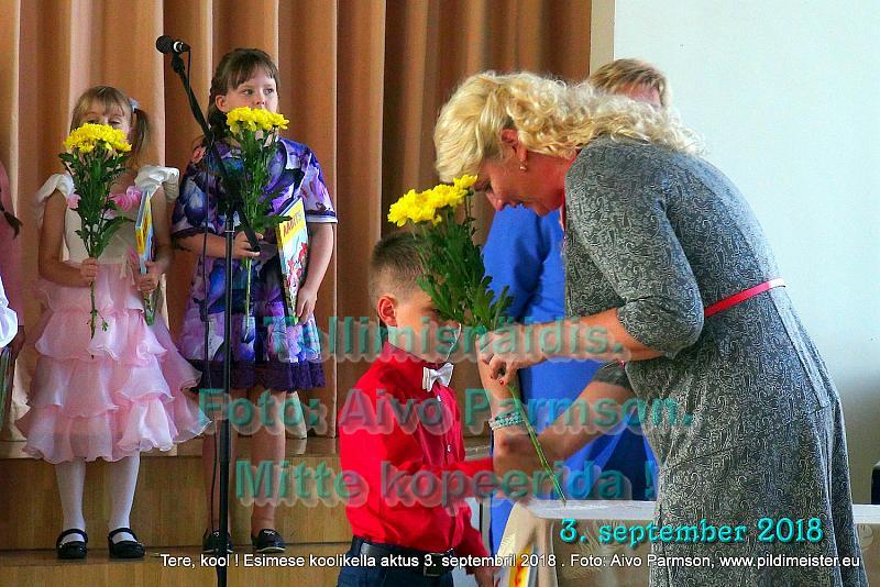 Tere (55)