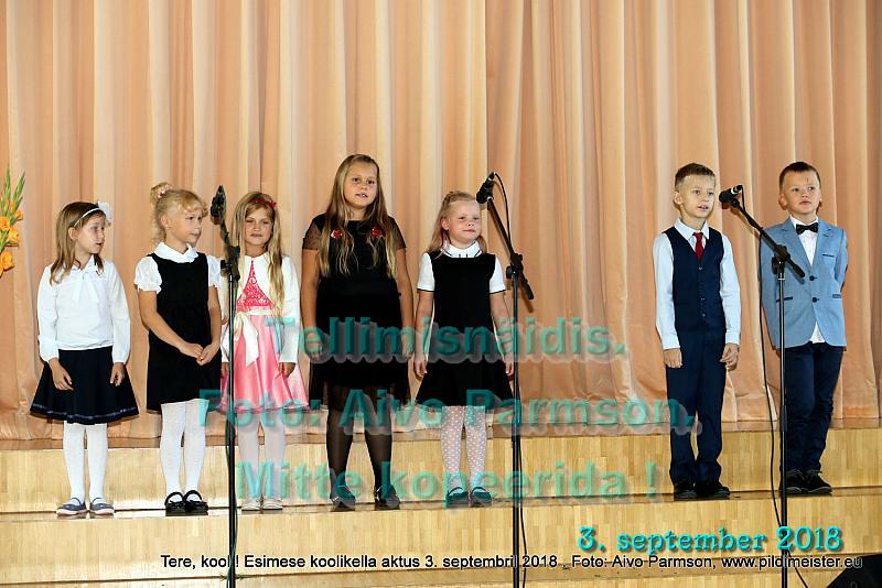 Tere (61)