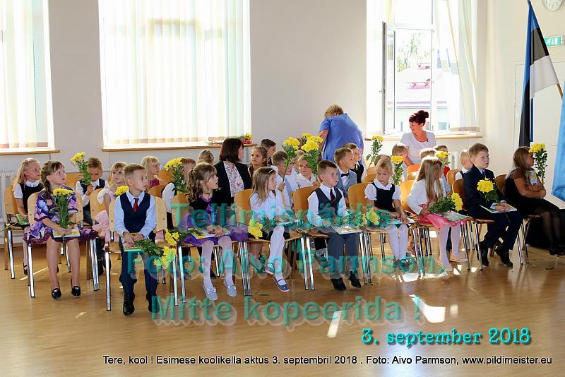 Tere (62)