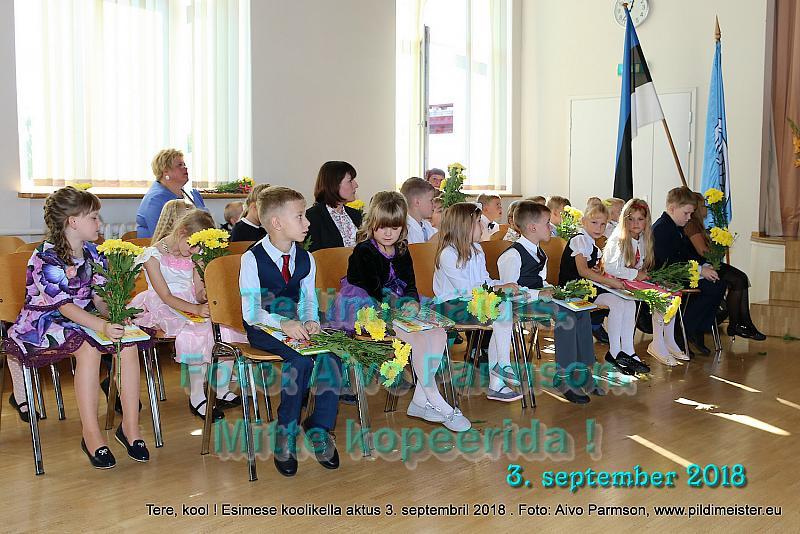 Tere (68)