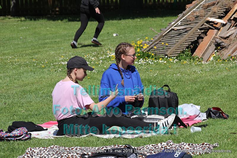 IMG 2816