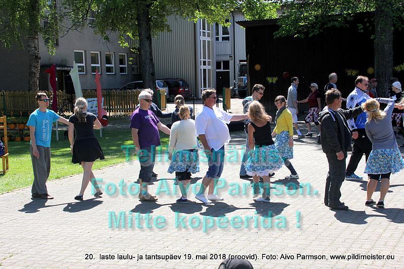 IMG 2831