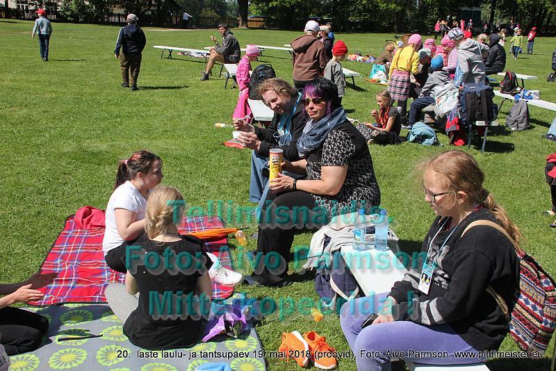 IMG 2835