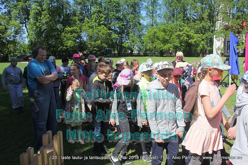 IMG 2903