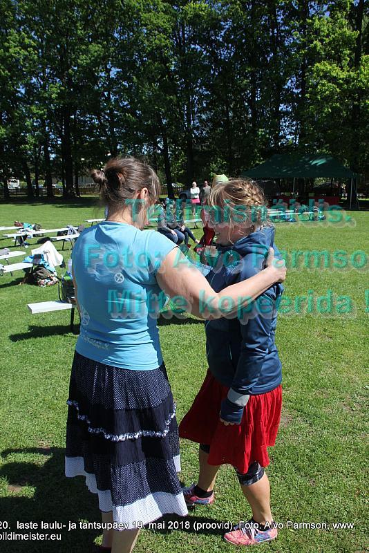 IMG 2911