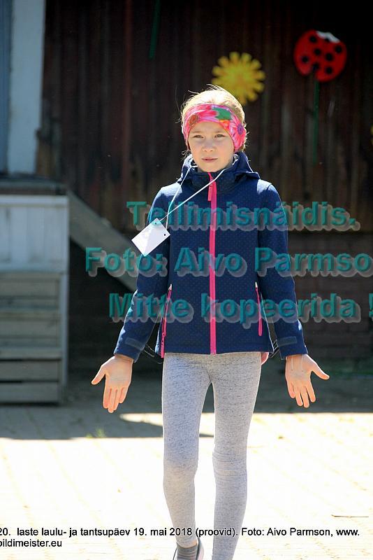IMG 2928