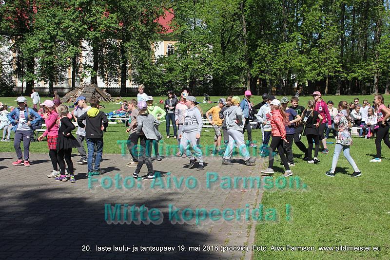 IMG 2938