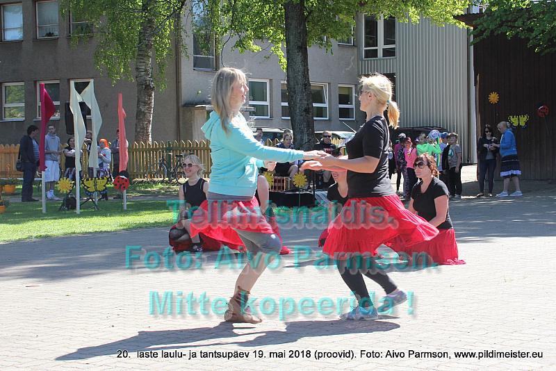 IMG 2953