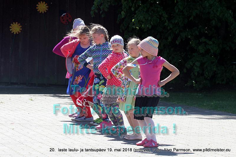 IMG 2968