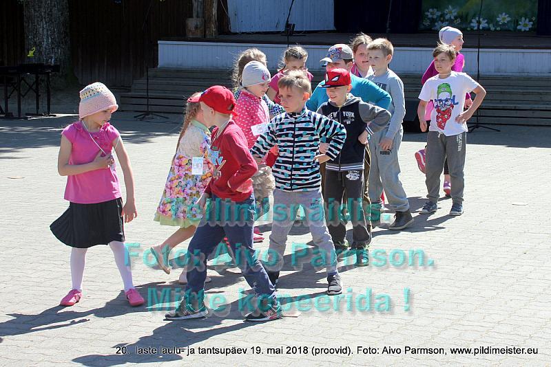 IMG 2973
