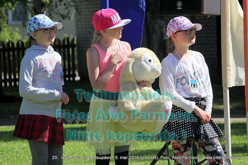 IMG 2992