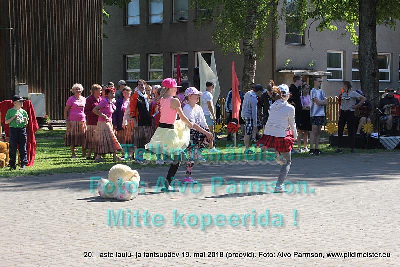 IMG 2999