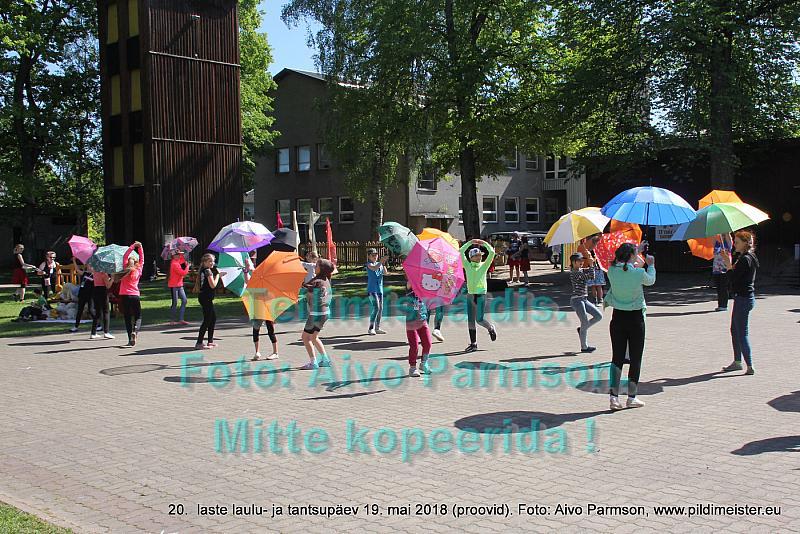 IMG 3053