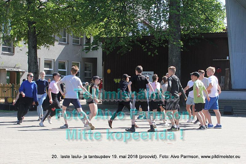 IMG 3091