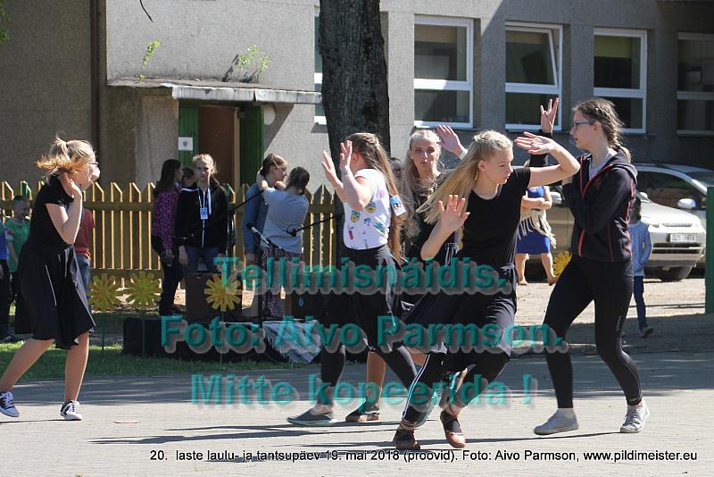 IMG 3102