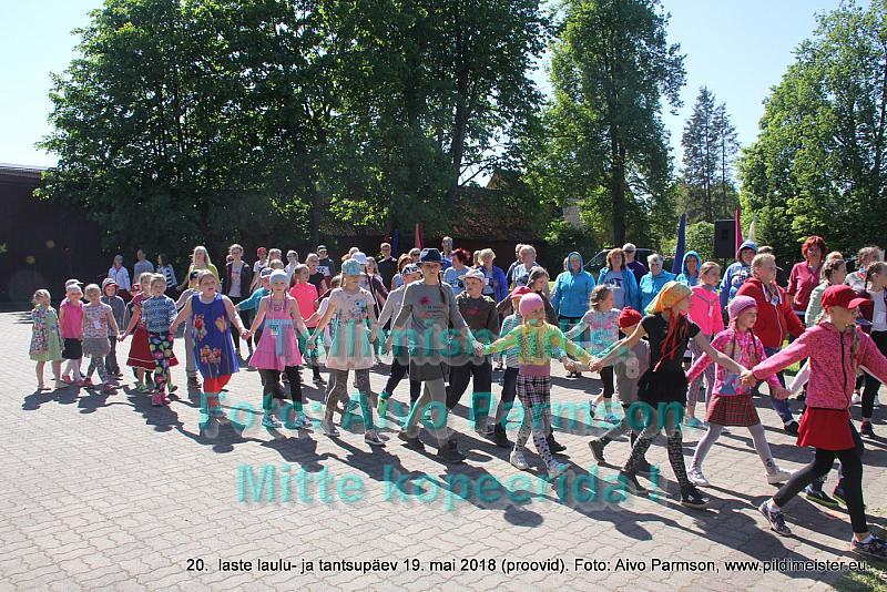 IMG 3143