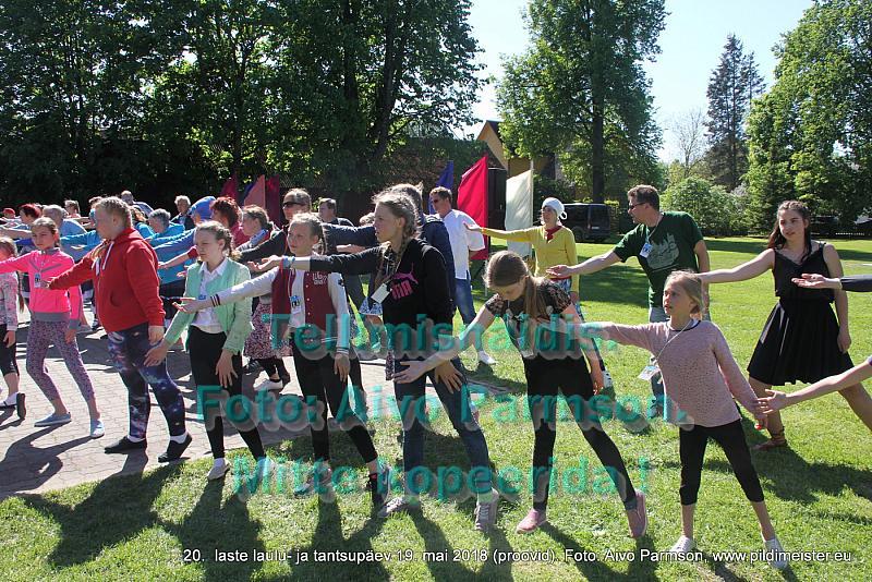 IMG 3144