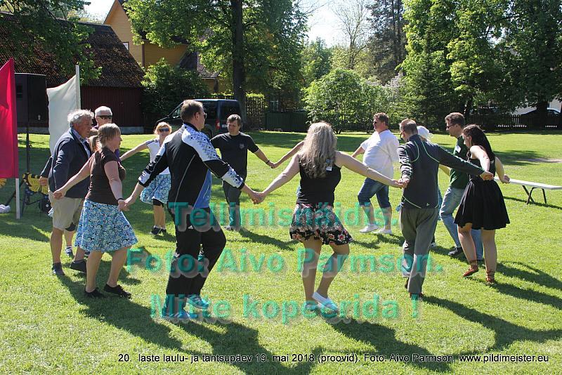 IMG 3153