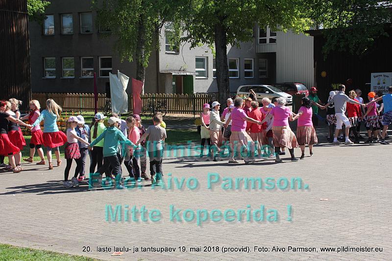IMG 3154