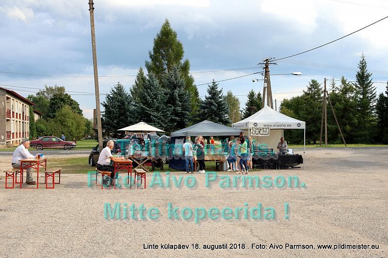 Linte 088