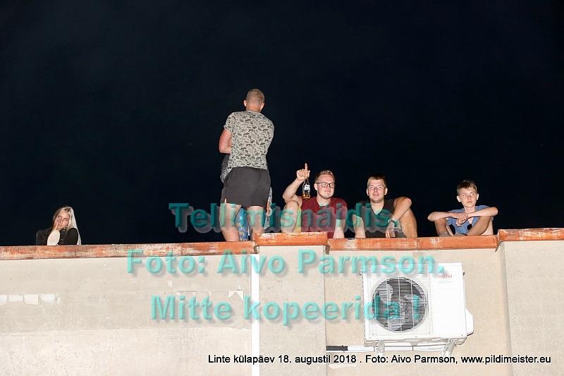 Linte 115