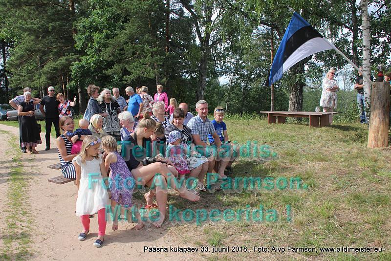 Pääsna 001