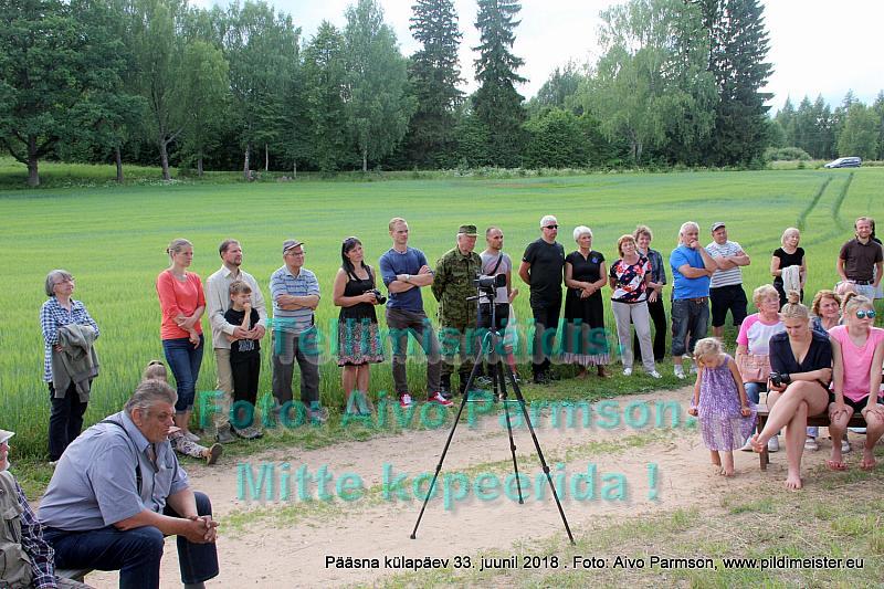 Pääsna 019