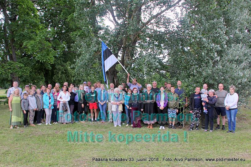 Pääsna 079