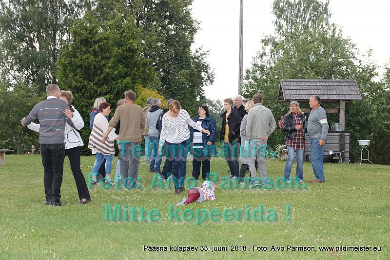 Pääsna 085