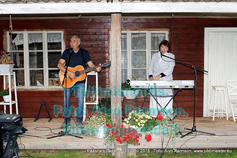 Pääsna 088