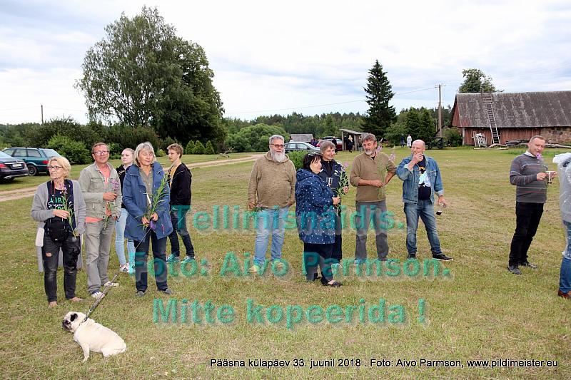 Pääsna 101