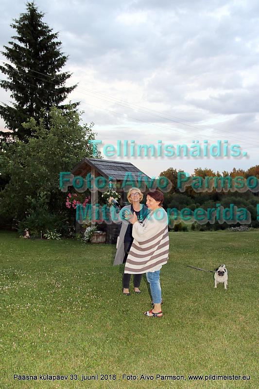 Pääsna 123