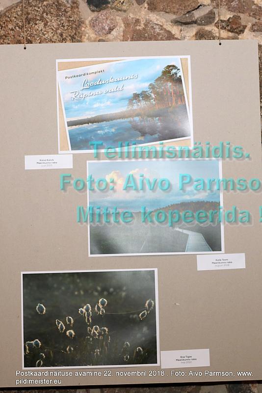 PKN 55