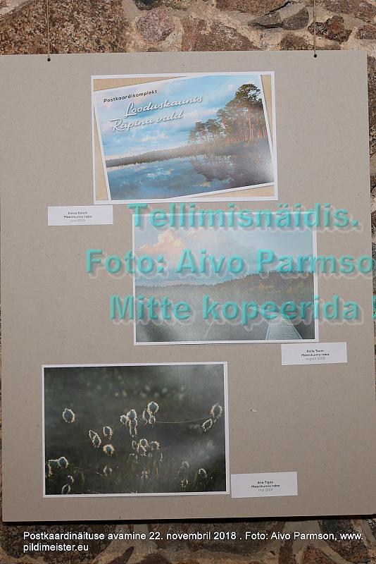 PKN 56