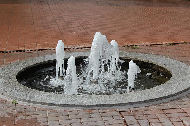 IMG 3304