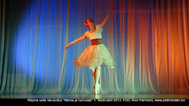 DSC00195
