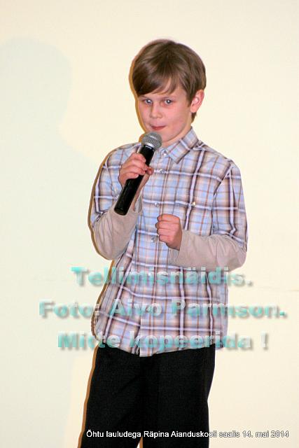 Lauludega (13)