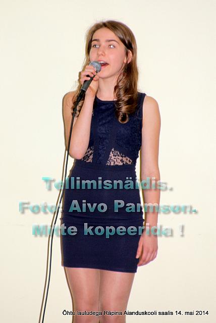 Lauludega (17)