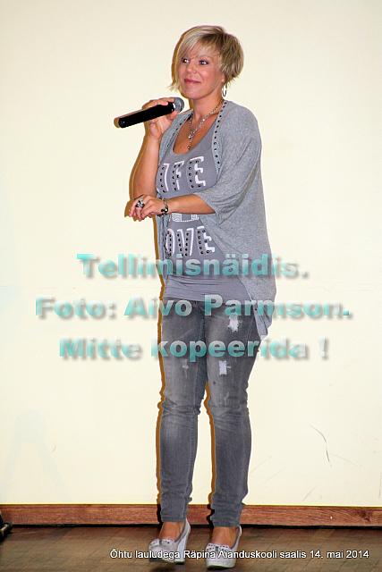 Lauludega (93)