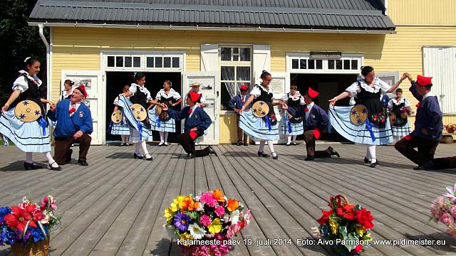 DSC08090