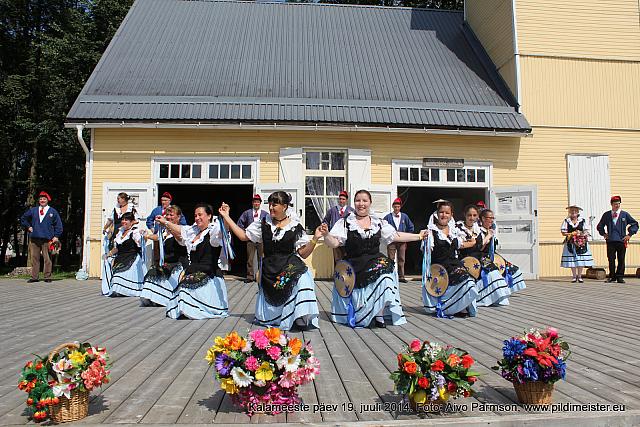 IMG 8906