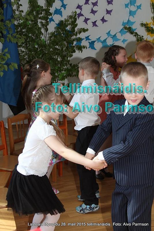 IMG 2993