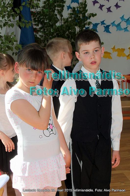 IMG 2995