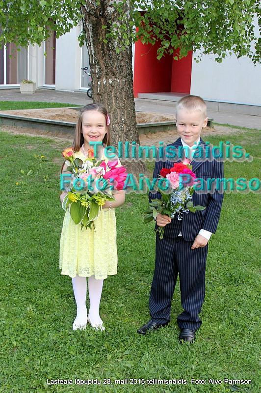 IMG 3166