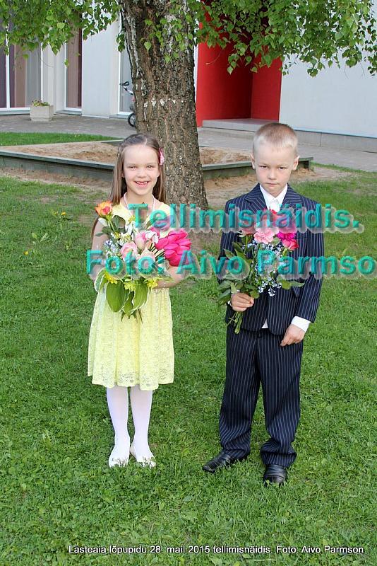IMG 3167
