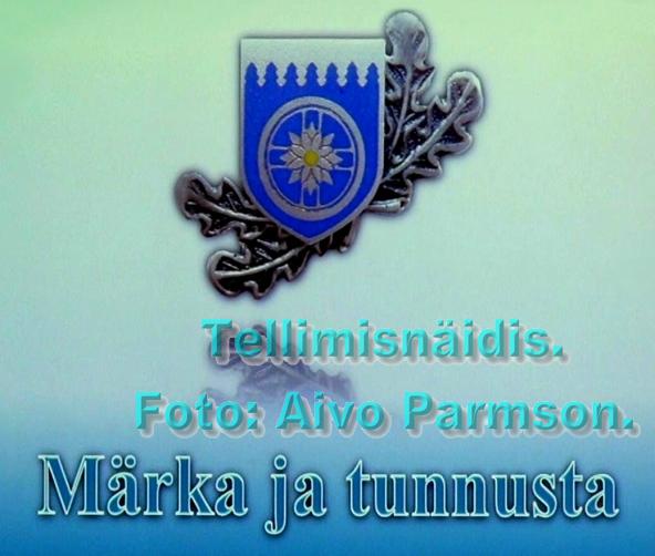 M ja T avalogo