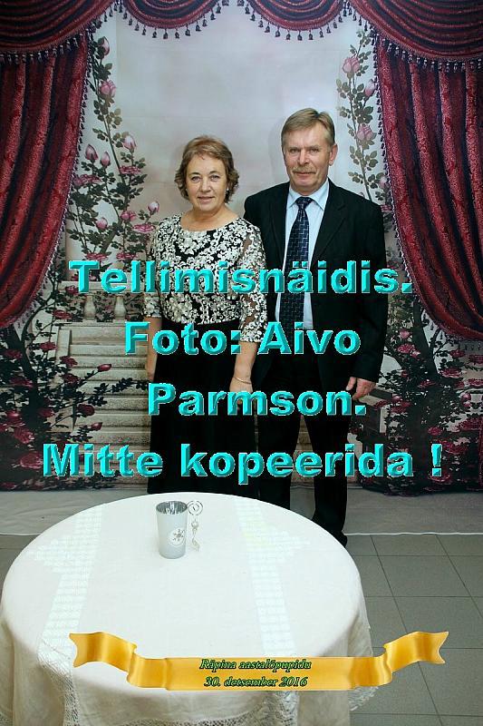 Stuudio 176