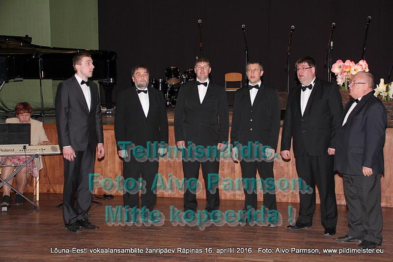 Vokaal 095