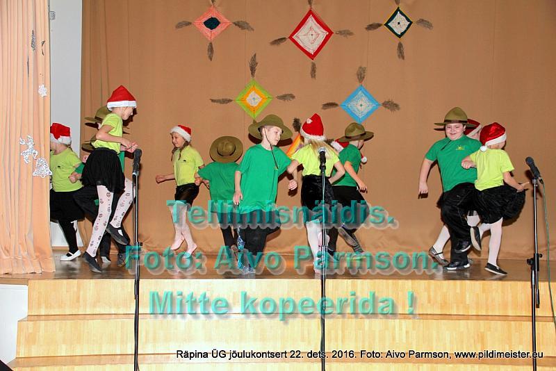 Ko-jõulu 036
